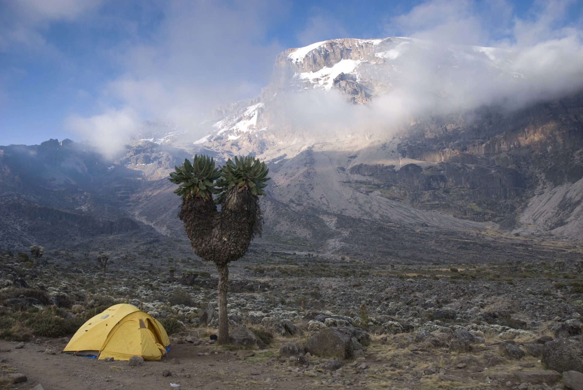 Kilimanjaro machame route camping