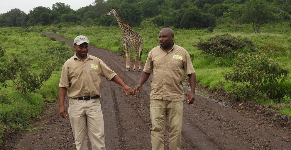 African Tours & safaris safari guides