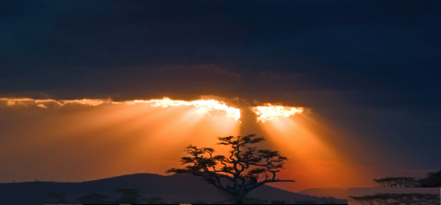 Serengeti Sun